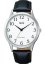 Hodinky Q&Q C10A-057PY