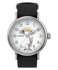 Timex Looney Tunes TW2Y99100QY