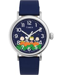 Timex Peanuts Waterbury Standard Pumpkin Patch TW2W72700UK