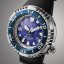 Citizen BN1025-08L Promaster