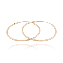 Pozlátené strieborné náušnice kruhy JVD SVLE0216XD5RO45 (priemer 45mm)