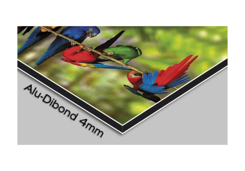 Designové nástěnné hodiny 5043-0002 DX-time 40cm