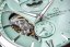 Orient Star Conterporary Layered Skeleton Automatic RE-AV0B11E00B