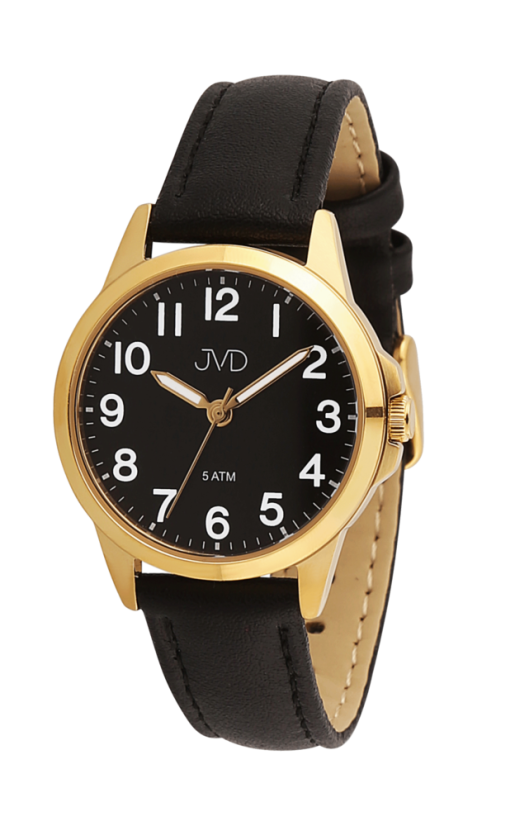 Náramkové hodinky JVD J4197.7