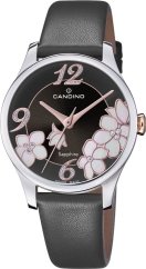 CANDINO C4720/6 LADY ELEGANCE