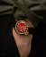 Timex Q Timex 1972 Reissue TW2V254007U