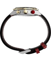 Timex Waterbury Heritage TW2Y93400UK