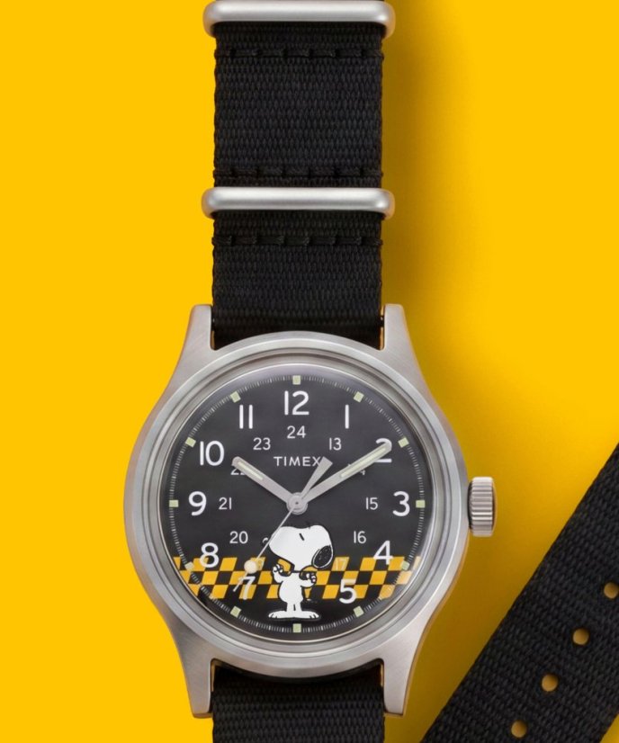 Timex Peanuts Mk1 TW2Y85400