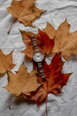 Náramkové hodinky JVD JZ204.2