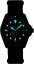Certina DS Action Diver C048.807.38.051.00