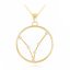 Stříbrný pozlacený náhrdelník znamení ryby Minet Stars JMAS9503GN45
