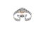Orient Star Contemporary Open Heart Automatic RE-ND0102R00B
