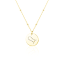 Pozlacený stříbrný náhrdelník znamení zvěrokruhu Kozoroh JVD SVLN0327XH2GOKO