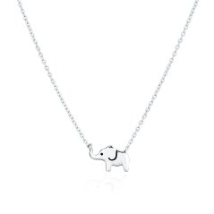 Stříbrný náhrdelník JVD SVLN0385X610045