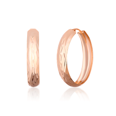 Strieborné náušnice JVD SVLE1516XH2RO50