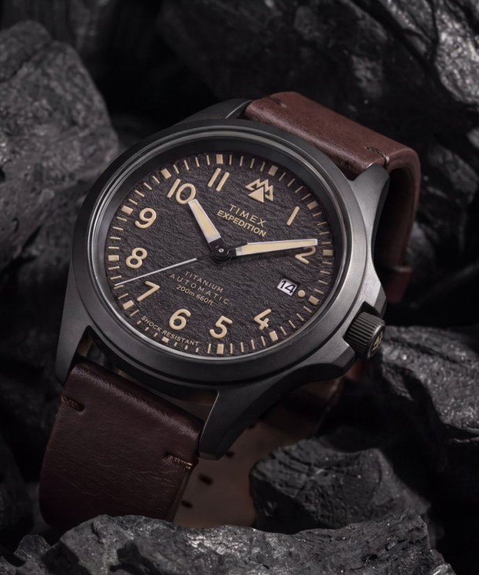 Timex Expedition Field Post Titanium TW2Y90900UK