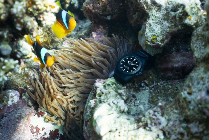 Certina C032.607.38.051.00 Aqua