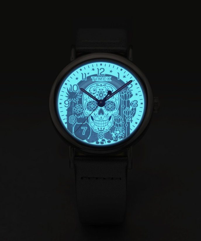 Timex Weekender Day of the Dead TW2Y15900UK