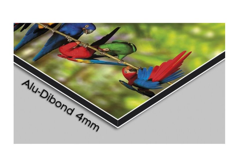 Designové nástěnné hodiny 3088-0002 DX-time 40cm