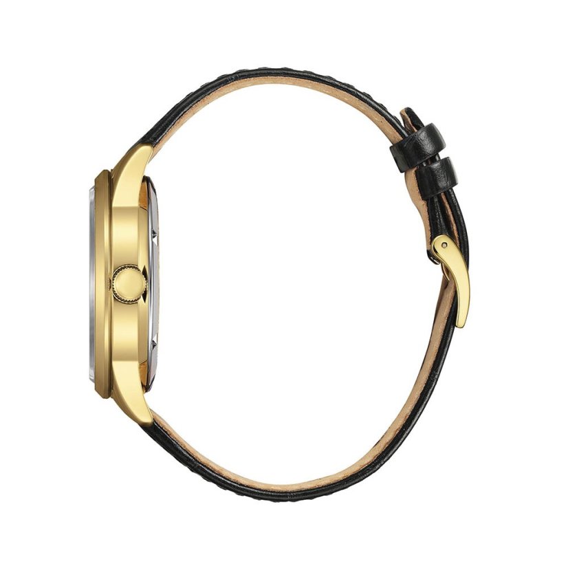 Citizen NY4059-09AE Automatic