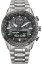 Citizen JV2006-55H Promaster