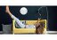 Dizajnové nástenné hodiny Future Time FT2010WH Round white 40cm