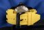 Invicta Marvel X-men Quartz 48mm 37373