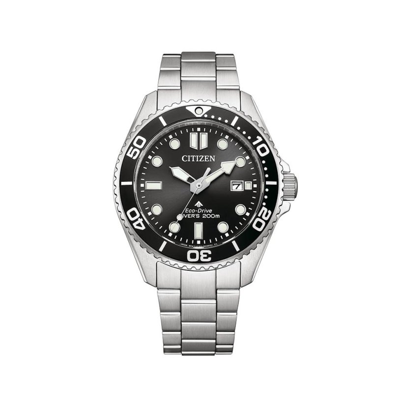 Citizen BN0261-51E Promaster