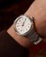 Timex Waterbury Traditional Ace TW2Y18800UK