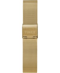 Timex Transcend TW2R36100