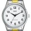 Hodinky Q&Q C11A-005PY