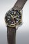 Seiko SSK036K1 Seiko 5 Sports SKX GMT Series