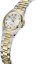 FESTINA 20556/1 CLASSIC BRACELET