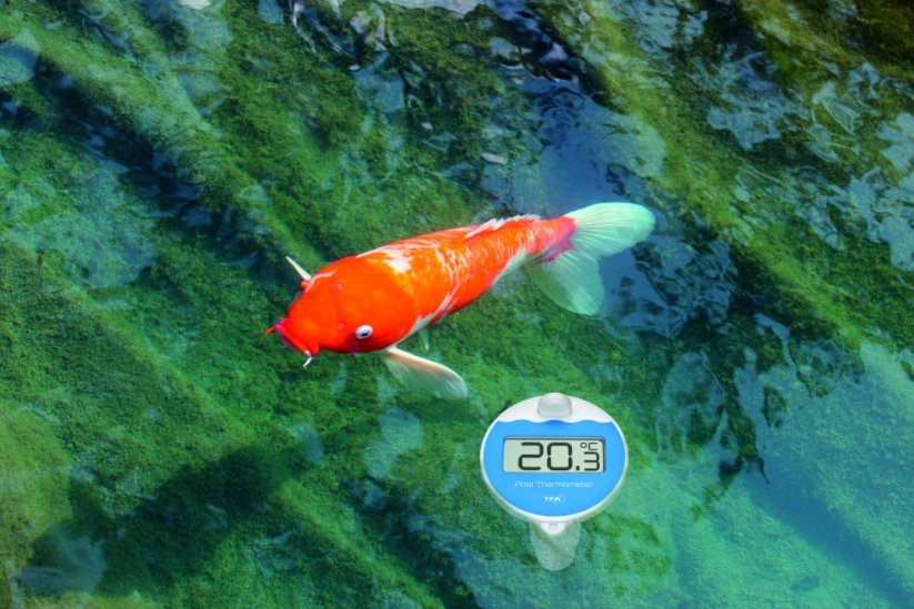 TFA 30.3066.01 - Bezdrôtový teplomer MARBELLA s plávajúcim čidlom na meranie teploty vody