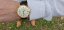 Orient Classic Bambino 2nd Generation Version1 Automatic TAC00003W0