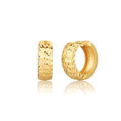 Zlaté náušnice ZE0948XJ81-9500 (585/1000) 1,95g
