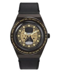 Timex Harry Potter TW2Y76000QY