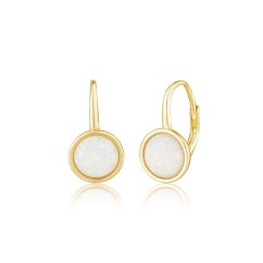 Pozlátené strieborné náušnice JVD SVLE0697XH2GO00