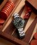 Timex Waterbury Heritage Automatic GMT TW2Y60800UK