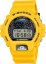 CASIO DW-6900TR-9ER G-Shock 30th Anniversary of 6900 Line