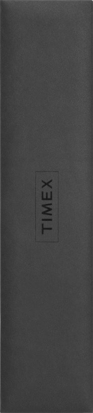Timex Q Timex 1979 Diver Inspired  Reissue TW2T80700