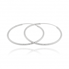 Stříbrné náušnice kruhy JVD SVLE0216XD50025 (průměr 25mm)