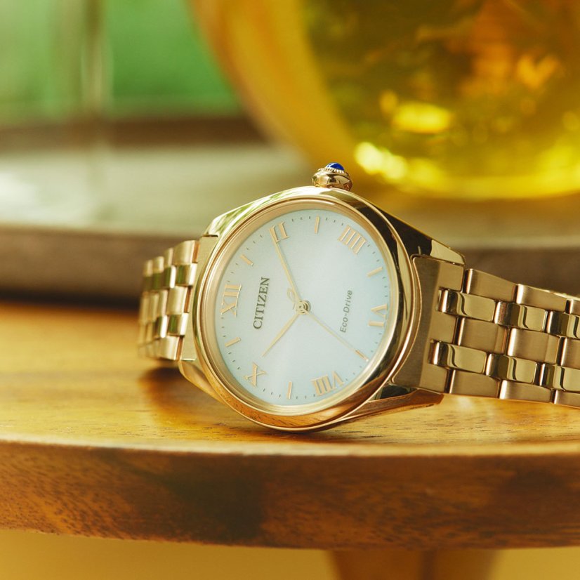 Citizen EM1143-81X Citizen L