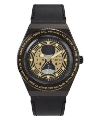 Timex Harry Potter TW2Y76000QY