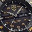 Luminox Master Carbon Seal Automatic 3860 Limited Edition XS.3865.GOLD
