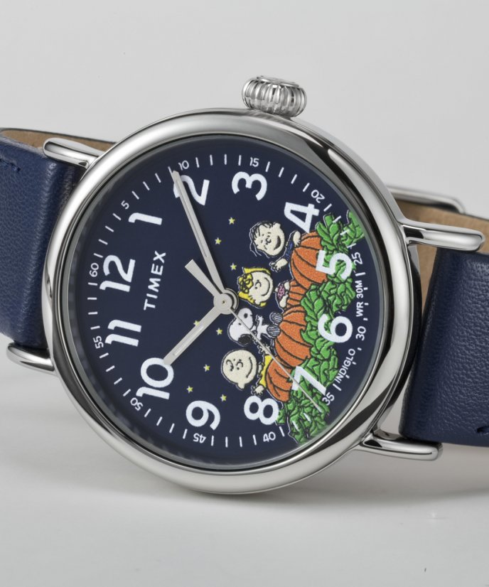 Timex Peanuts Waterbury Standard Pumpkin Patch TW2W72700UK