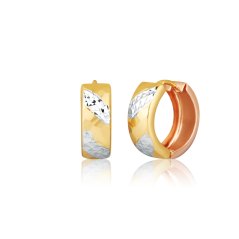 Zlaté náušnice ZE0962XJ81-8100 (585/1000) 1,81g