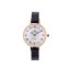 MPM W02N.11179.C