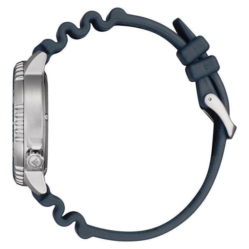 Citizen BN0167-09W Promaster