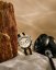 Certina DS Action Diver Chrono C032.827.18.271.00